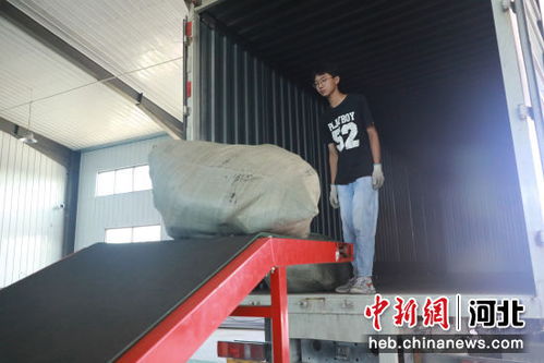 河北高碑店箱包產業年銷售額超30億元